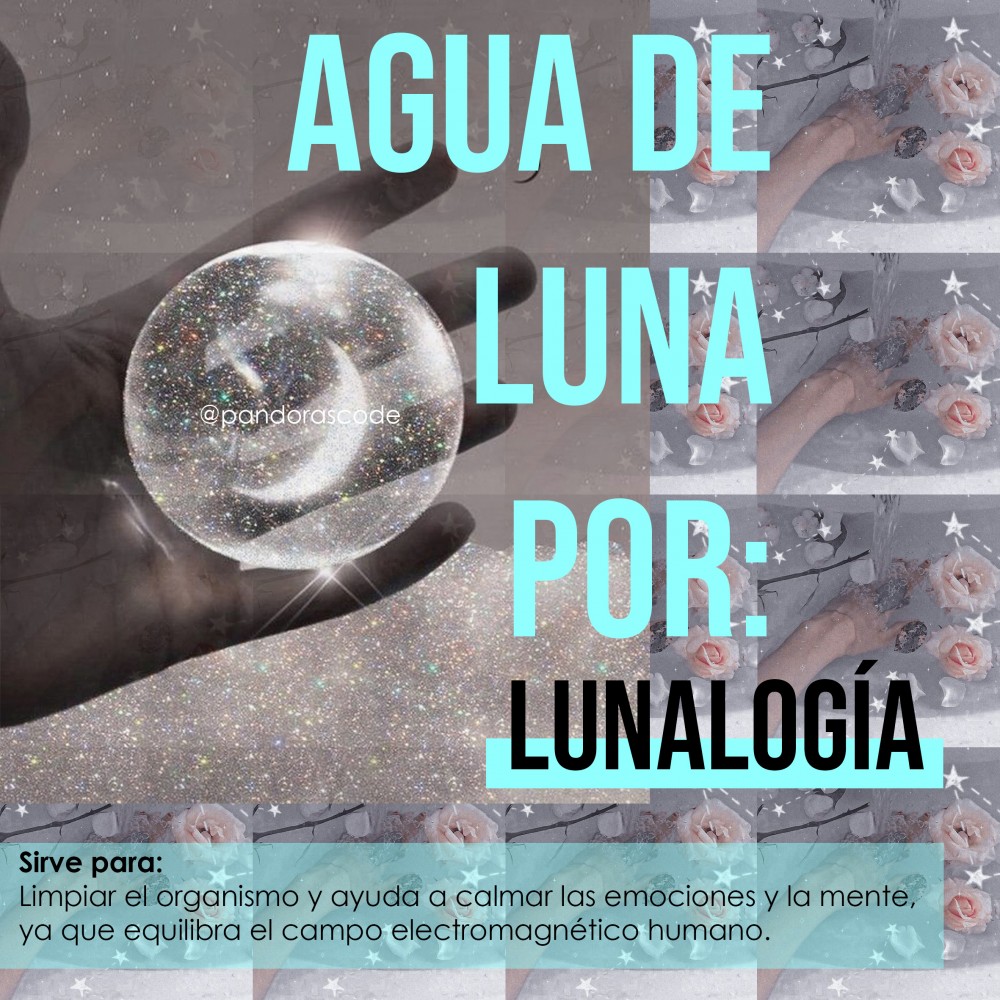 vida, rituales de halloween, agua de luna, astrologia, PANDORASCODE, lunalogia, limpieza organismo, halloween